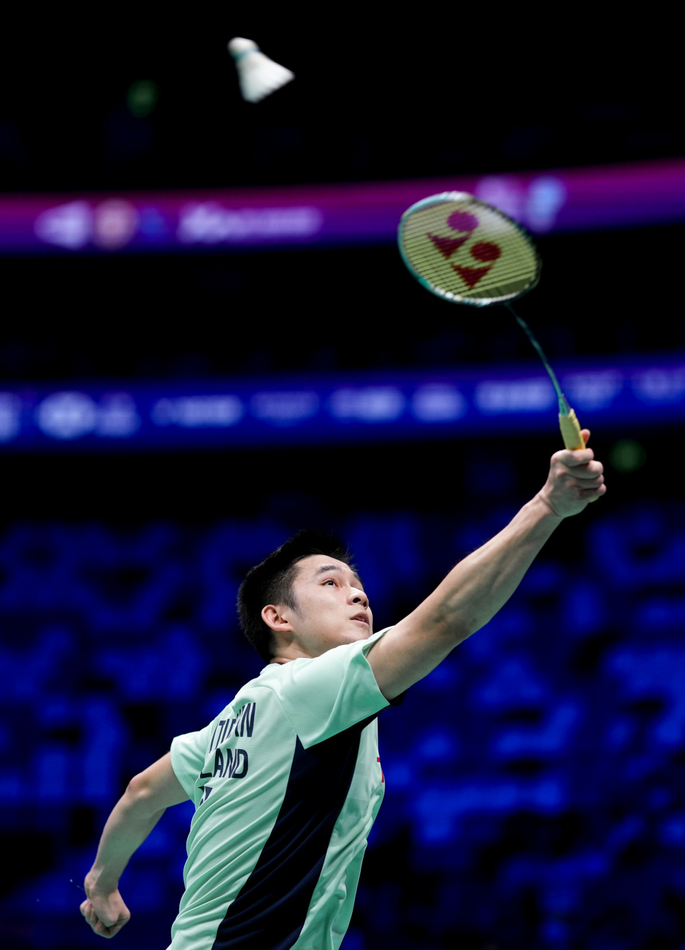 的表现来看 的表现来看