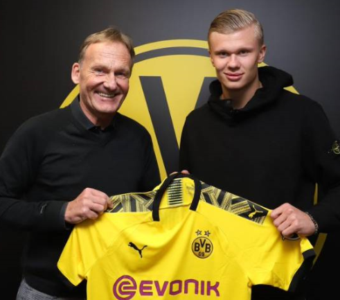 未来也将由 未来也将由